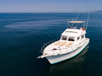 Custom 46' Boat in Puerto & Nuevo Vallarta
