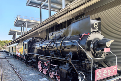 جولة دراجات/جولة في مدينة شنغهاي في نيو بوند وتجربة الحياة المحلية