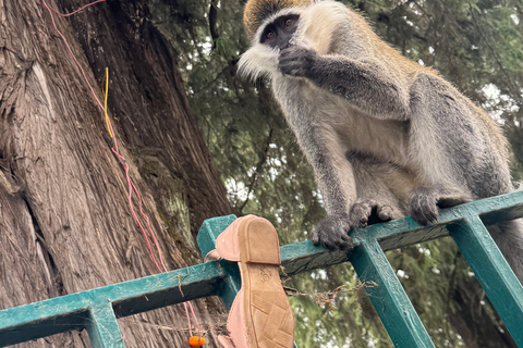 Addis Abeba: Tagestour in den Menagesha Suba Forest mit Guide