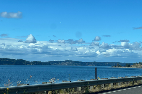 Seattle's Electric Bike Tour