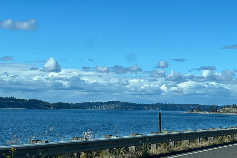 Seattle's Electric Bike Tour