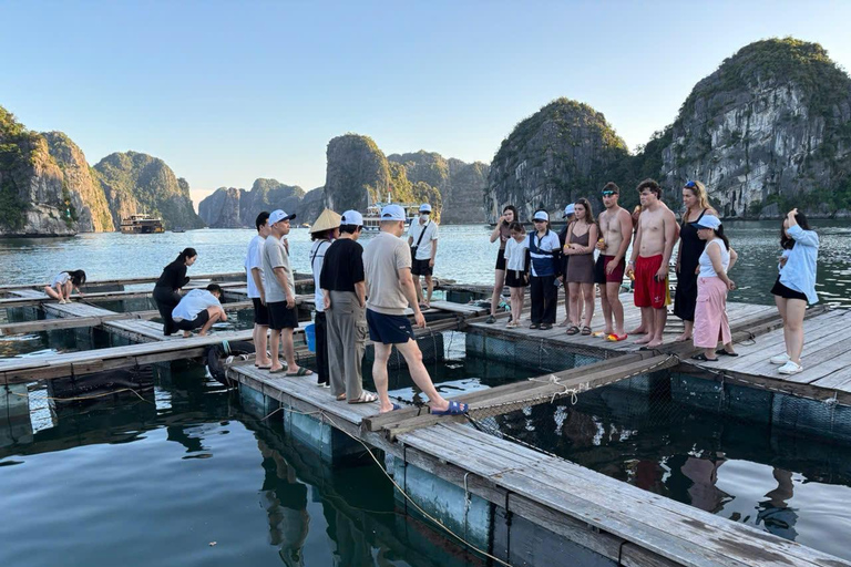 Hanoi/Cat Ba: Lan Ha Bay Day Cruise with Dark & Bright Caves Day Trip Cruise Pick up & Drop Off From Cat Ba Town
