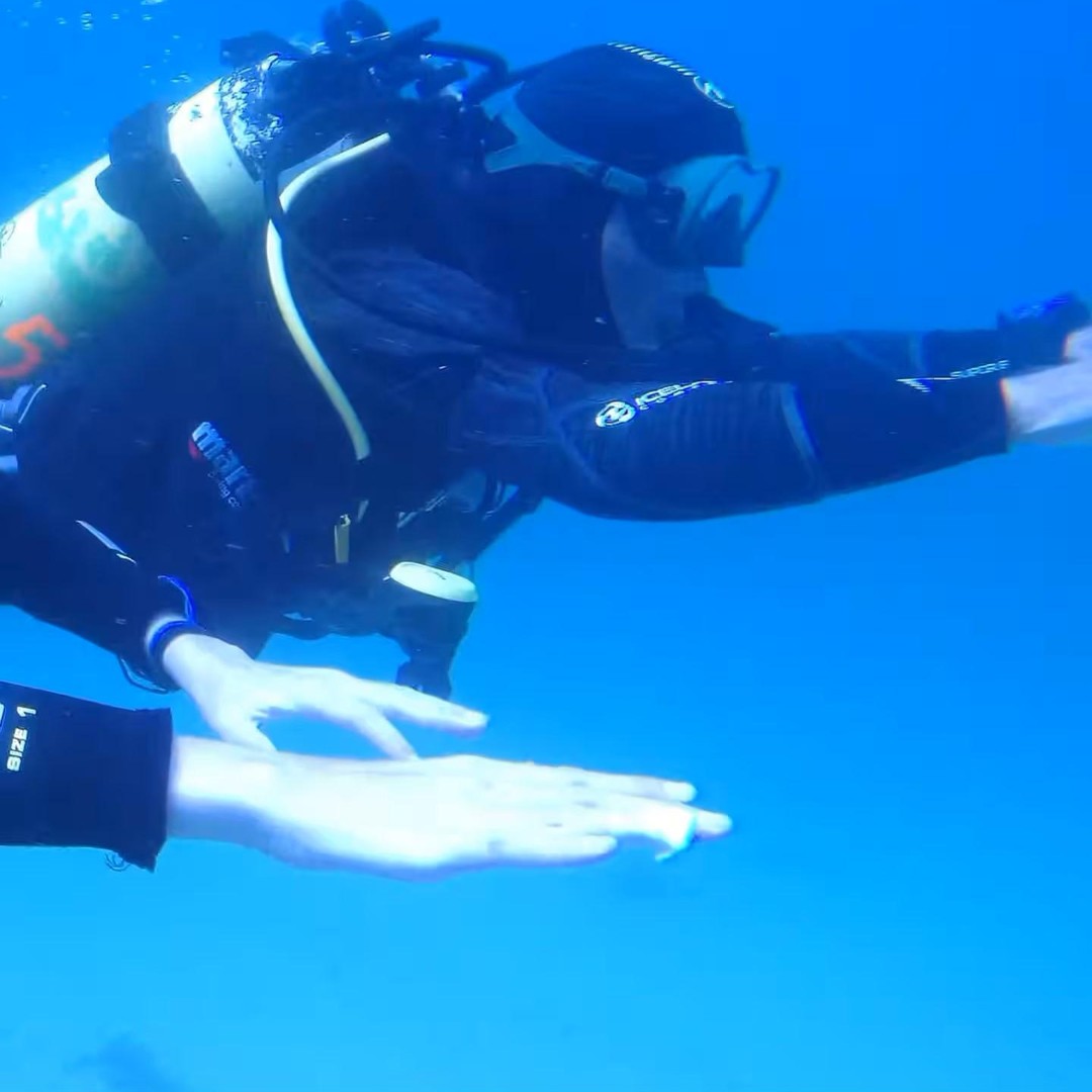 Mein erster Tauchgang im Ozean von Sao Miguel | GetYourGuide, image size:1080x1080