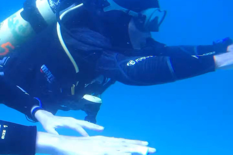 My first scuba dive into the Ocean from Sao Miguel