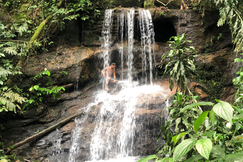 Tijuca Forest´s hike: caves, waterfalls and great views