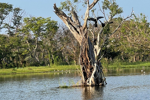 Habarana-Lake Eco-Adventure Boat Tour and Nature Walk