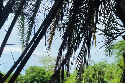 Moshi: Waterfall's and Hot Springs 2-Day Tour