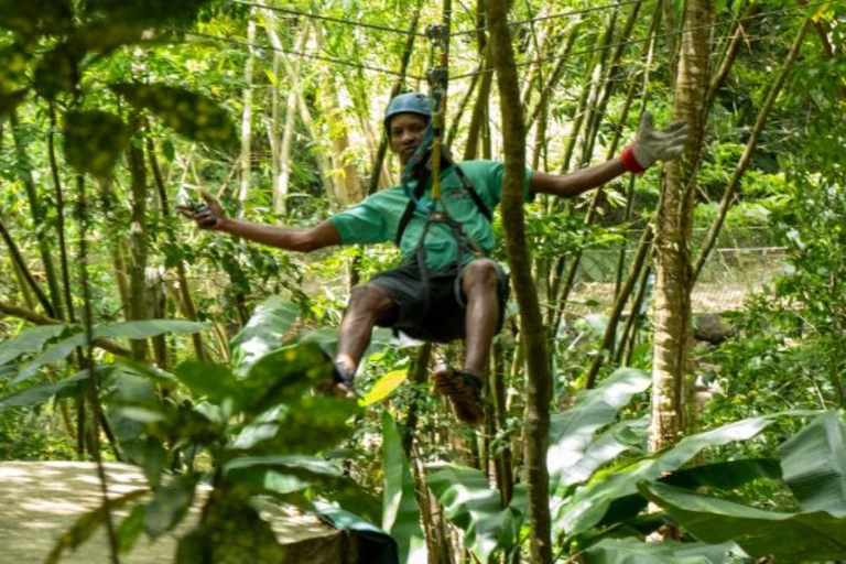 Sainte-Lucie : Safari Jeep et aventure en zipline