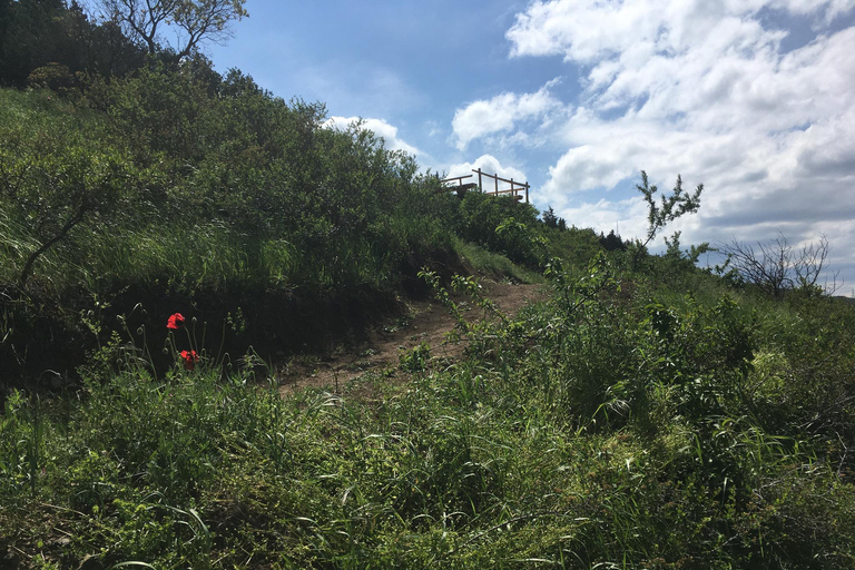 Tbilisi: Heerlijk spoor over de stad