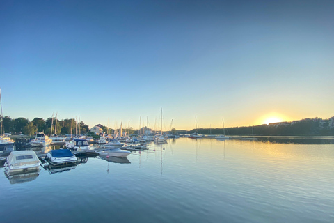 Estocolmo: tour guiado de 2 horas por las islas del archipiélago