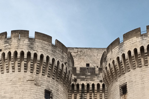 夏季之旅，4天/ 3晚，骑电动自行车探索普罗旺斯夏季之旅，4天/3夜，骑电动自行车探索普罗旺斯