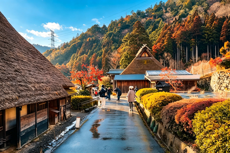 Osaka: Amanohashidate, Ine Cruise & Miyama Village From Osaka (Basic Package)