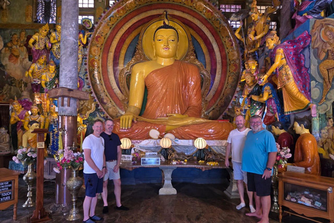Colombo to Kandy Tea Factory and Temple Private Tour By Car