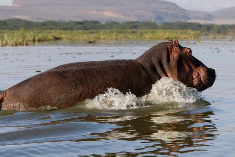 From Nairobi: Hell’s Gate National Park & Lake Naivasha