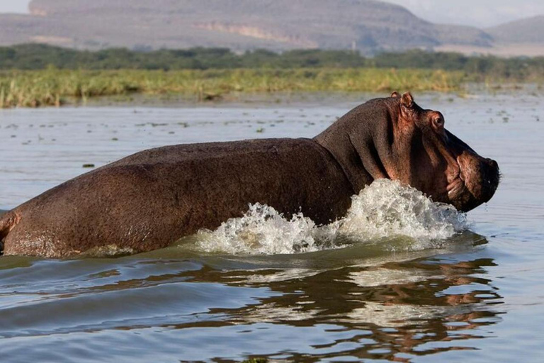 From Nairobi: Hell’s Gate National Park & Lake Naivasha