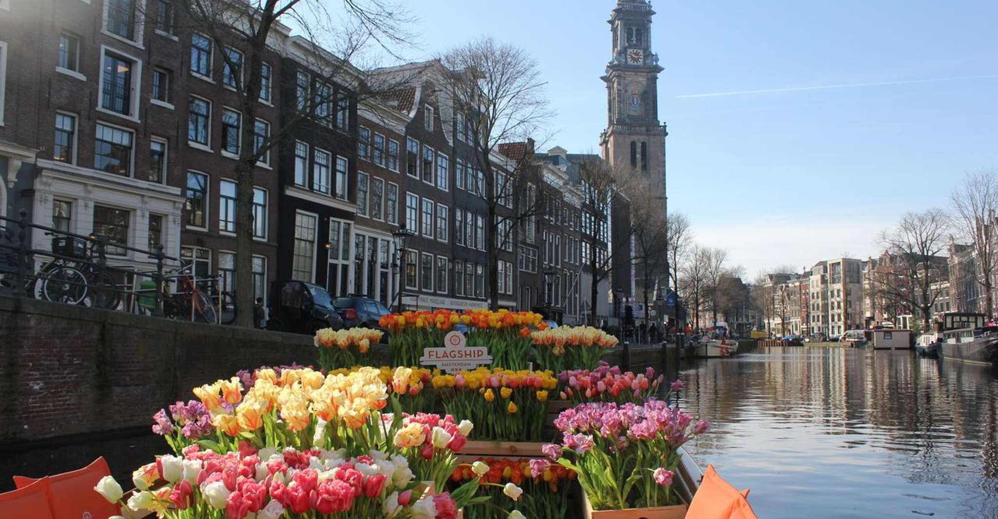 Amsterdam: Premium Tulip Boat Canal Tour photo 6