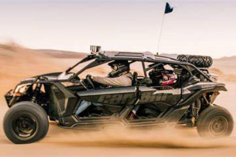 Into the Wild: un&#039;emozionante corsa in buggy attraverso le dune