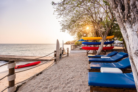 EXPÉRIENCE D'UNE JOURNÉE SUR L'ÎLE DE L'ENCHANTEMENTEXPÉRIENCE D'UNE JOURNÉE À L'ISLA DEL ENCANTO