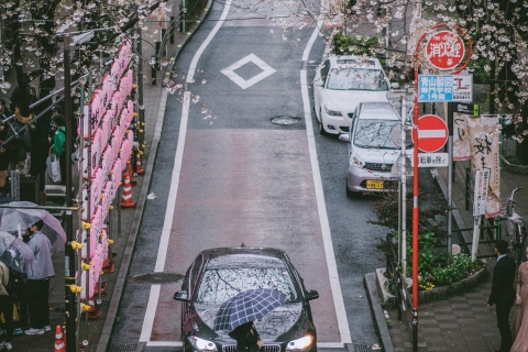 Tokio privétour per auto met ophaalservice