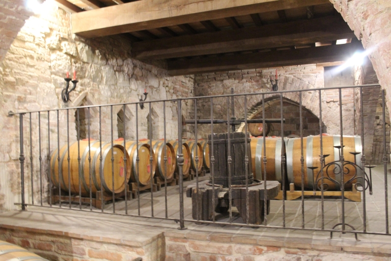 From Rome: Private Day-Tour of Tuscany