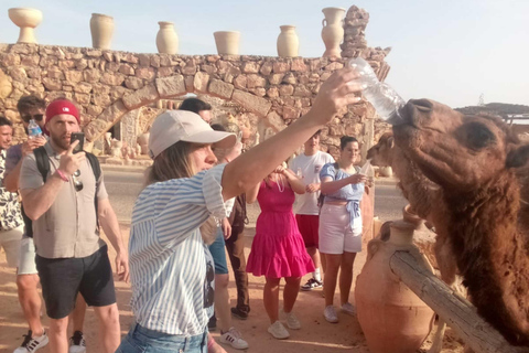 Ontdekkingstocht van Djerba: Onweerstaanbaar verblijf