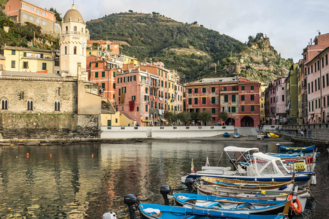 Pisa en de Cinque Terre vanuit de cruisehaven van Livorno