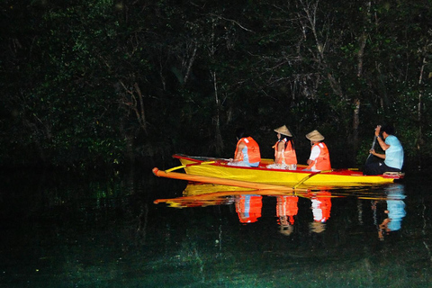 Observation des lucioles à Puerto Princesa (visite partagée)