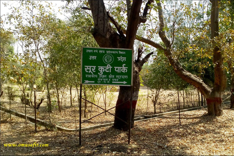 Desde Agra Excursión de un día a SOS Conservación de Elefantes y Rescate de Osos