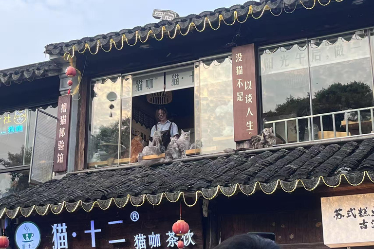 Suzhou & Tongli Water Town One Day Escape from Shanghai