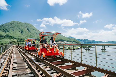 From Seoul: Nami Island, Korean Garden & Rail Bike Day Trip Group Tour w/o Railbike from Dongdaemun (DDP)