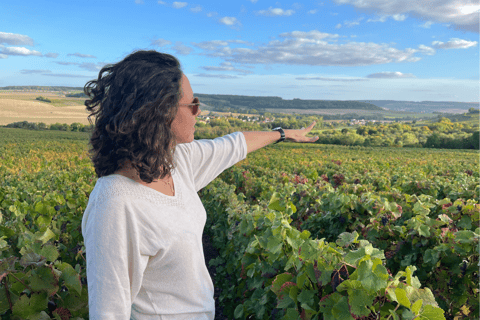 Sancerre Wine Day from Paris with 10 Tastings & Lunch