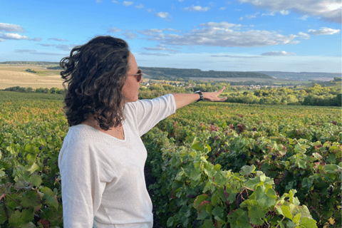 From Paris: Wine Day trip to SANCERRE w 10 Tastings & Lunch