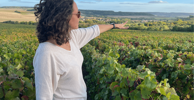 From Paris: Wine Day trip to SANCERRE w 10 Tastings & Lunch