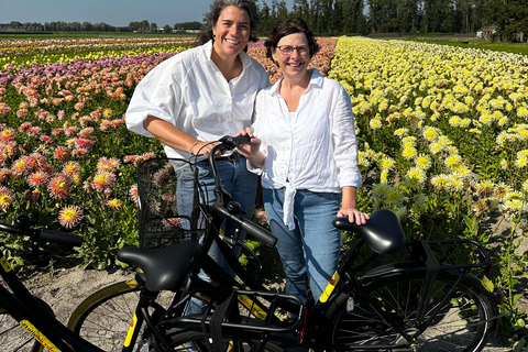 Región de los bulbos: Excursión en bicicleta por las dalias