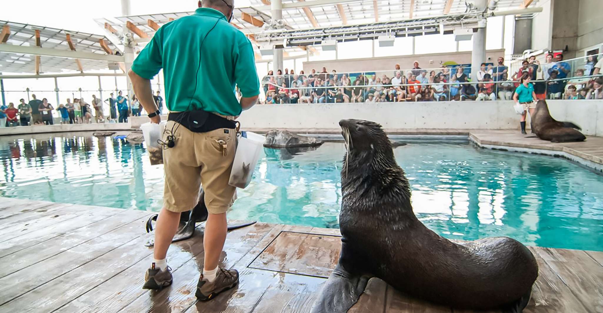 Boston, New England Aquarium Skip-the-Line Entry Ticket - Housity