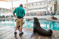 Boston, New England Aquarium Skip-the-Line Ticket - Housity