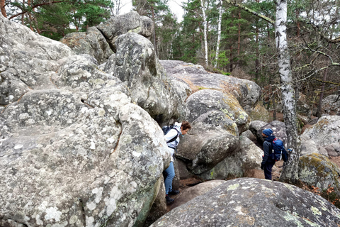 Hiking Adventure in the Fontainebleau Forest
