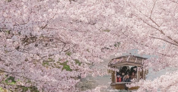 From Osaka: Kyoto Temples, Shrines & Cherry Blossom Day Trip
