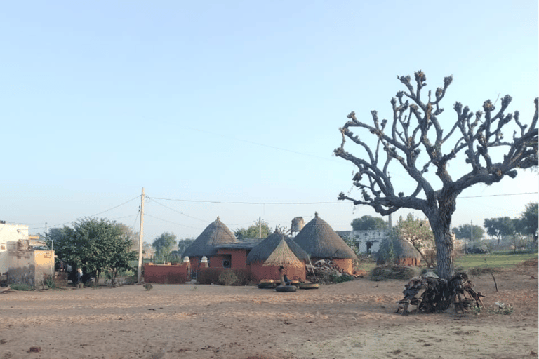 Nachtelijke kamelentocht in de woestijn van Jodhpur