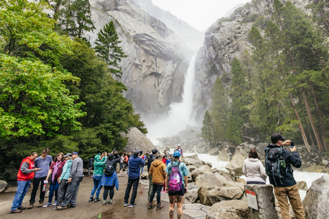 From San Francisco: Yosemite National Park Tour in English