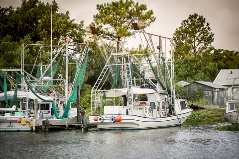 Avontuurlijke tocht met een moerasboot in New OrleansAirboat Adventure Tour in New Orleans - Grote moerasboot