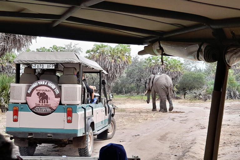 SELOUS : 2 DAGEN SAFARI VANUIT ZANZIBAR