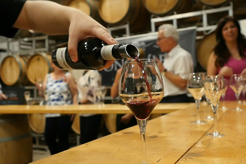 Lunch in the Vineyard: A Scenic Niagara Wine Tour Experience