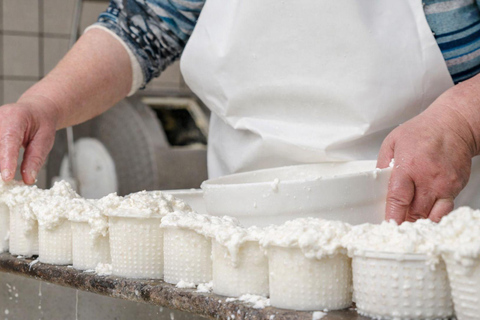 Vico Equense: Cheese-Making Class with Tasting