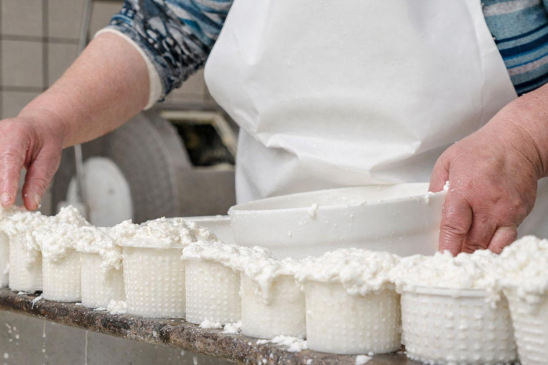 Vico Equense: Cheese-Making Class with Tasting