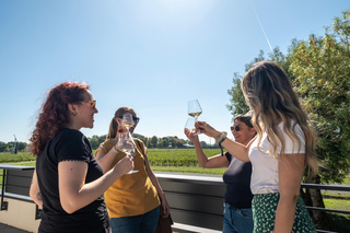 Clisson: Muscadet Adventure and Wine Tasting in the Nantes Vineyards