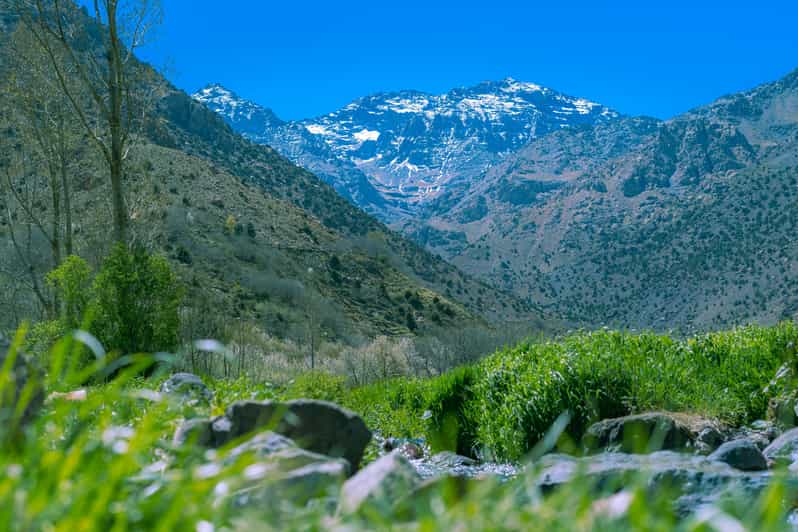 Au départ de Marrakech : excursion d'une journée dans la vallée de l'Ourika et à Setti Fatma - excursion