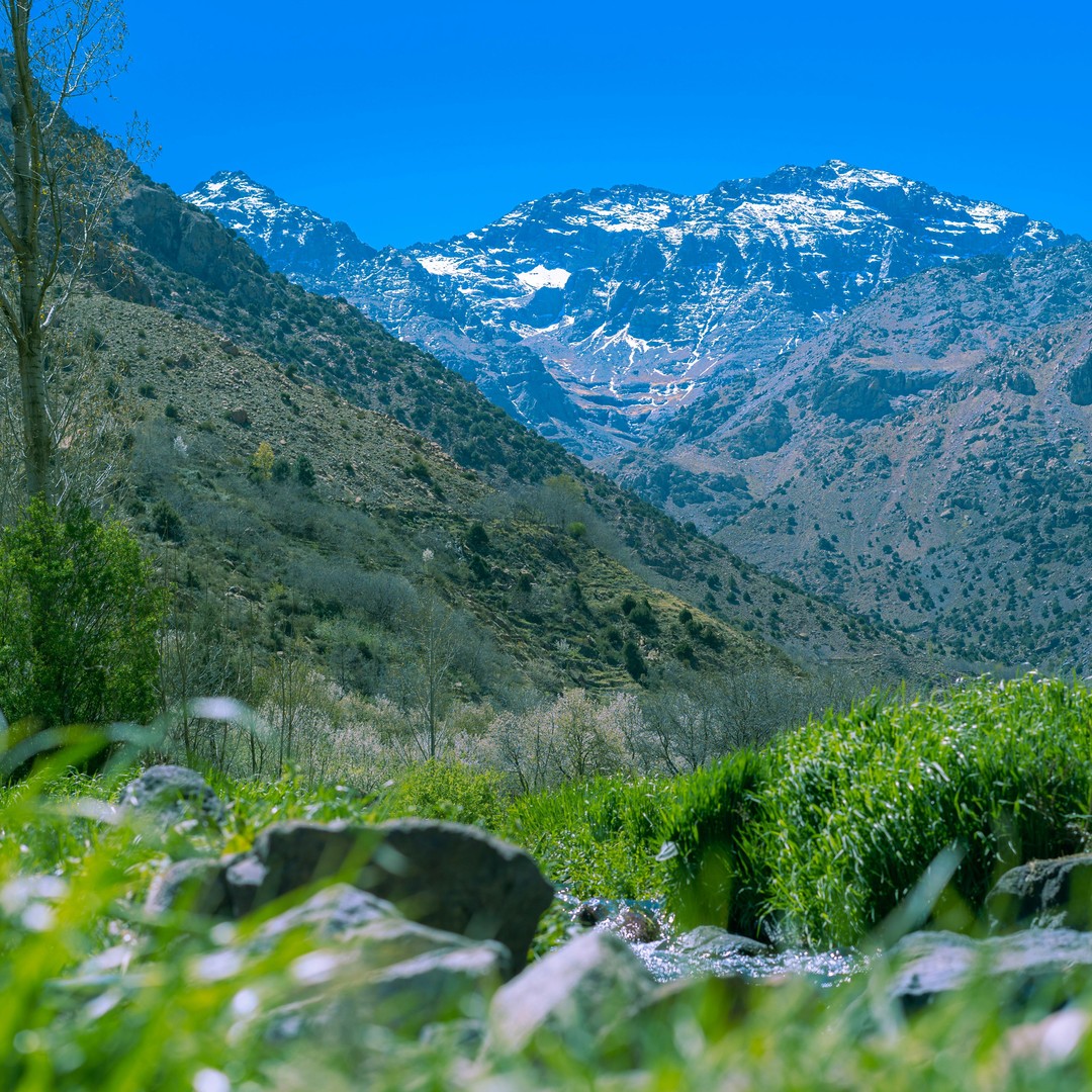 Au départ de Marrakech : excursion d'une journée dans la vallée de l'Ourika et à Setti Fatma - excursion