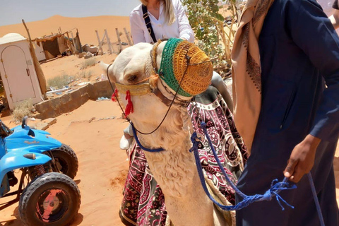 Riad: Aventura en el desierto con paseo en camello y quad