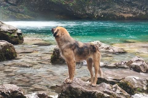 From Tirana/Shkodra: Day Tour to Theth Valley From Shkodra: Day Tour to Theth Valley